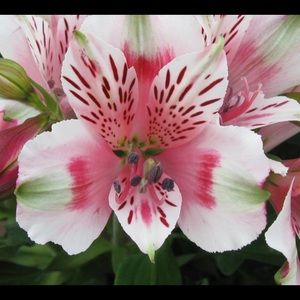 Meet your Posher, Kay